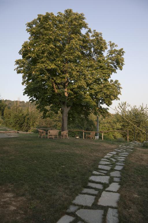 Crealto Villa Alfiano Natta Exterior foto